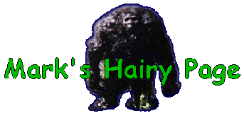 [Marks Hairy Page Logo]